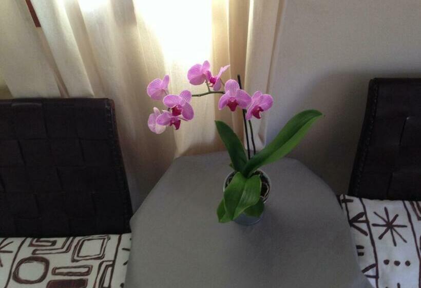 غرفة قياسية, Allotjaments Serra De Tramuntana