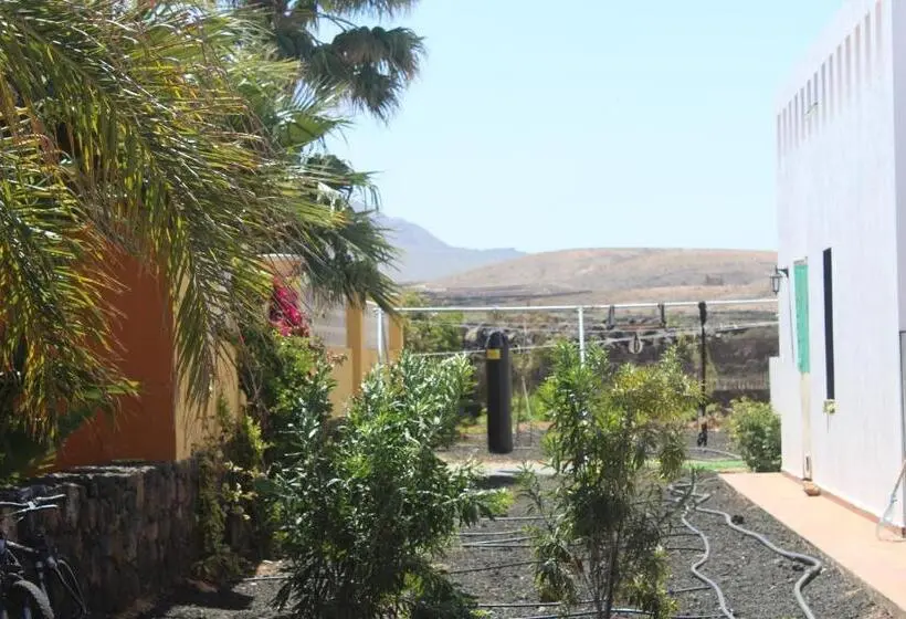 اتاق لوکس, Da Mata Kite&surf House