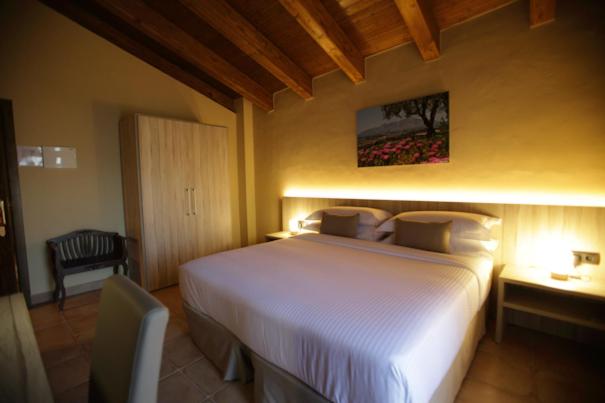 Номер Superior с Террасой, Can Panyella