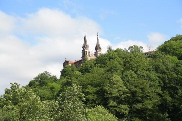 スタンダードシングルルーム, El Repelao