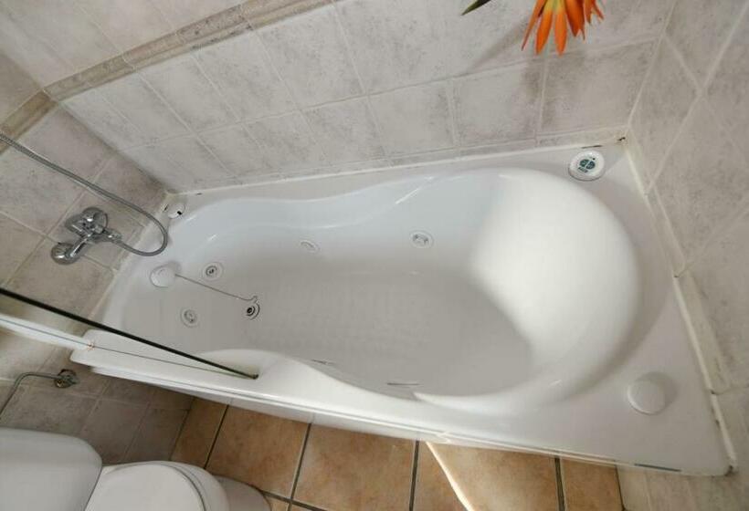 اتاق سوپریور با وان آب گرم, Rural El Castillo