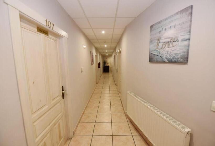 ویلای سوپریور 1 خوابه, Rural El Castillo