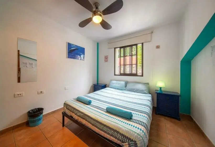 Standard-huone Jaettu Kylpyhuone, La Tortuga Hostel
