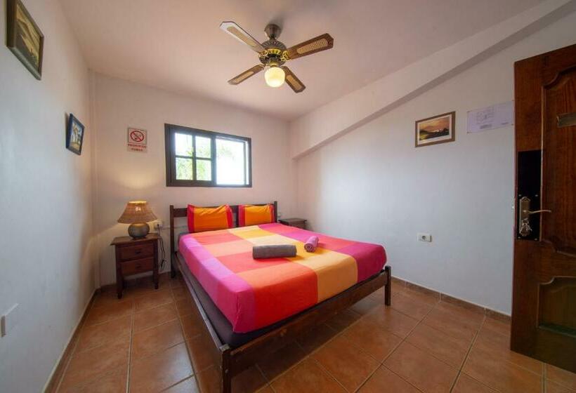 バス共有のスタンダードルーム, La Tortuga Hostel