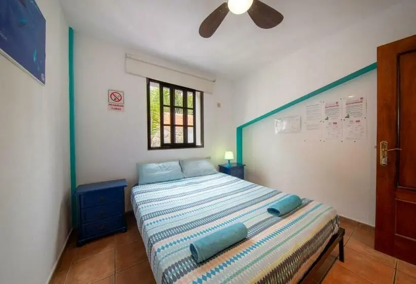 Standard-huone Jaettu Kylpyhuone, La Tortuga Hostel