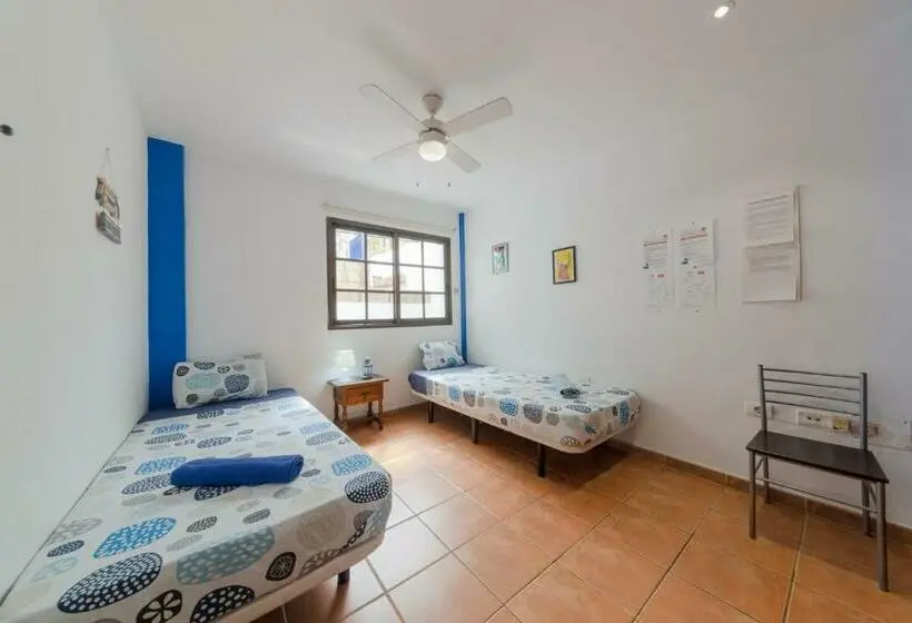 Standard-huone Jaettu Kylpyhuone, La Tortuga Hostel