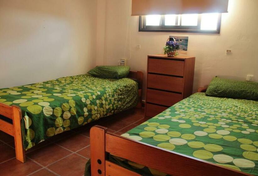 バス共有のスタンダードルーム, La Tortuga Hostel