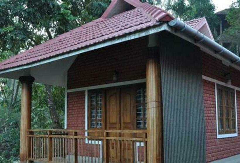 高级园景房, Rest In Nature