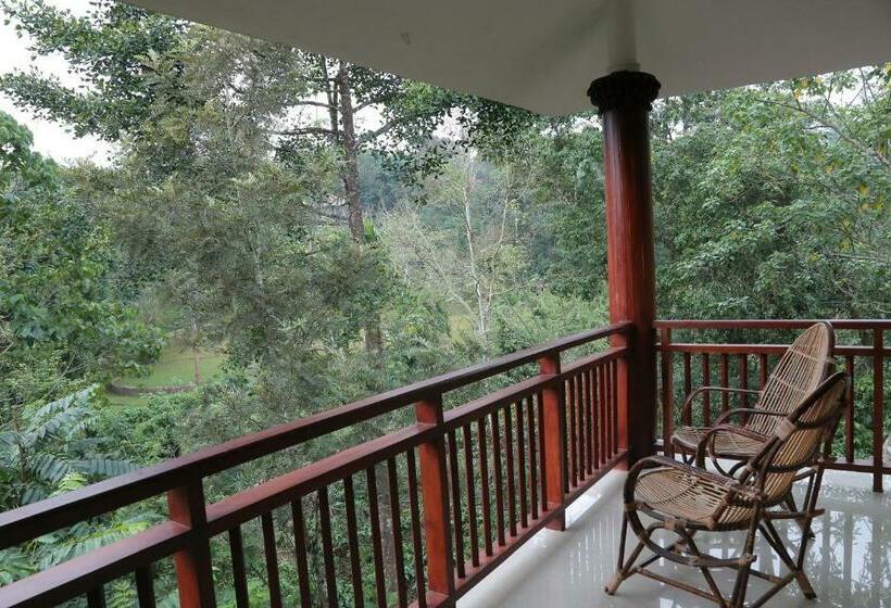 高级园景房, Rest In Nature