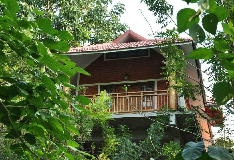 高级园景房, Rest In Nature