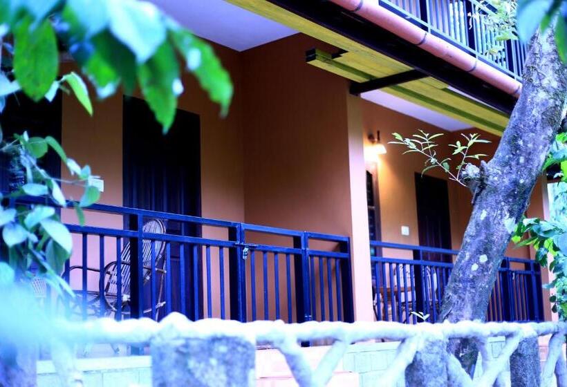 غرفة ديلوكس, Rest In Nature