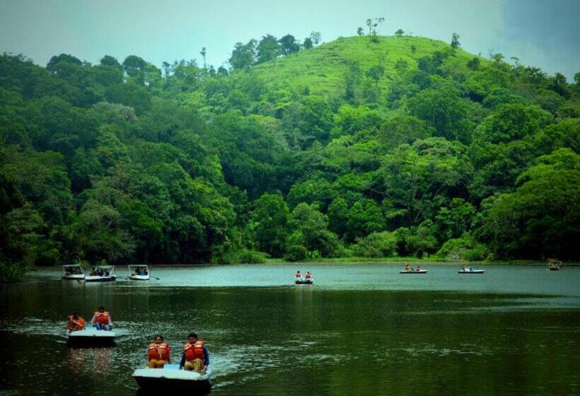 豪华房间, Rest In Nature