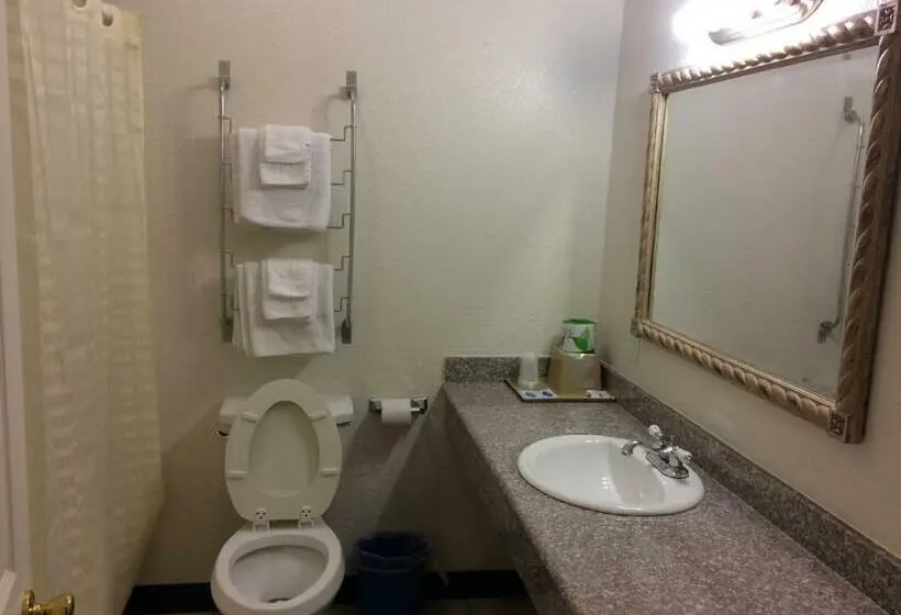 Standard Yhden Hengen Huone King-vuode, Country Regency Inn & Suites