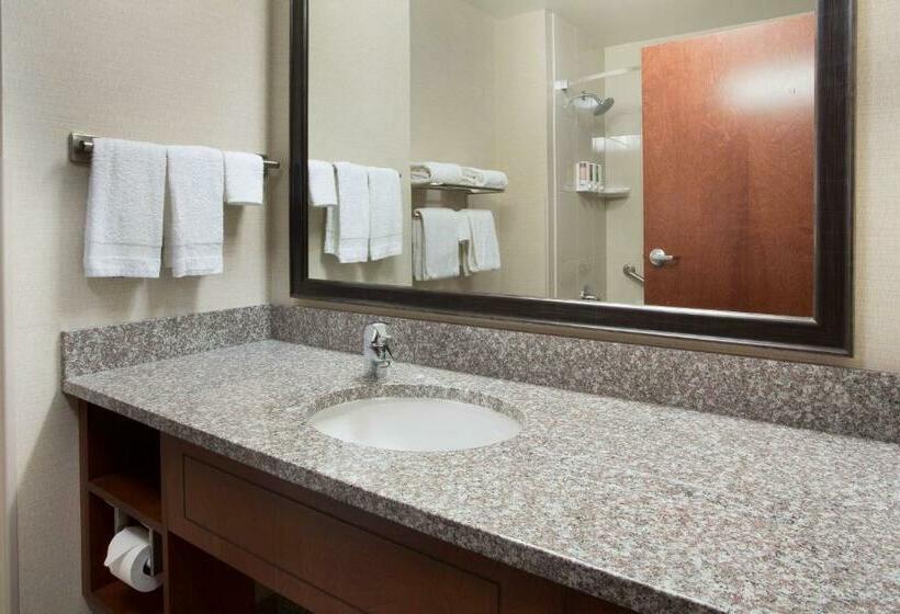 חדר דחוקס עם מיטת קינג, Drury Plaza Hotel Mt Vernon