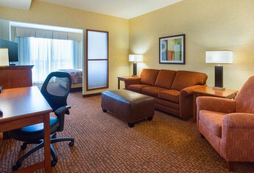 غرفة ديلوكس سرير كينج, Drury Plaza Hotel Mt Vernon