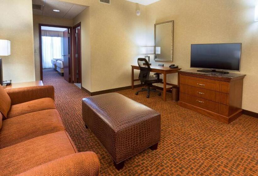 جناح ديلوكس, Drury Plaza Hotel Mt Vernon