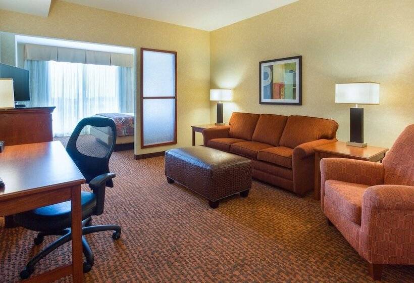 デラックスルーム, Drury Plaza Hotel Mt Vernon