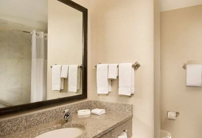 Sviitti Liikuntarajoitteisille, Drury Plaza Hotel Mt Vernon