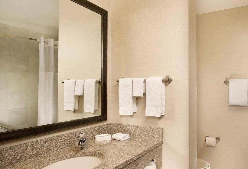 غرفة ديلوكس لذوى الاحتياجات الخاصة, Drury Plaza Hotel Mt Vernon