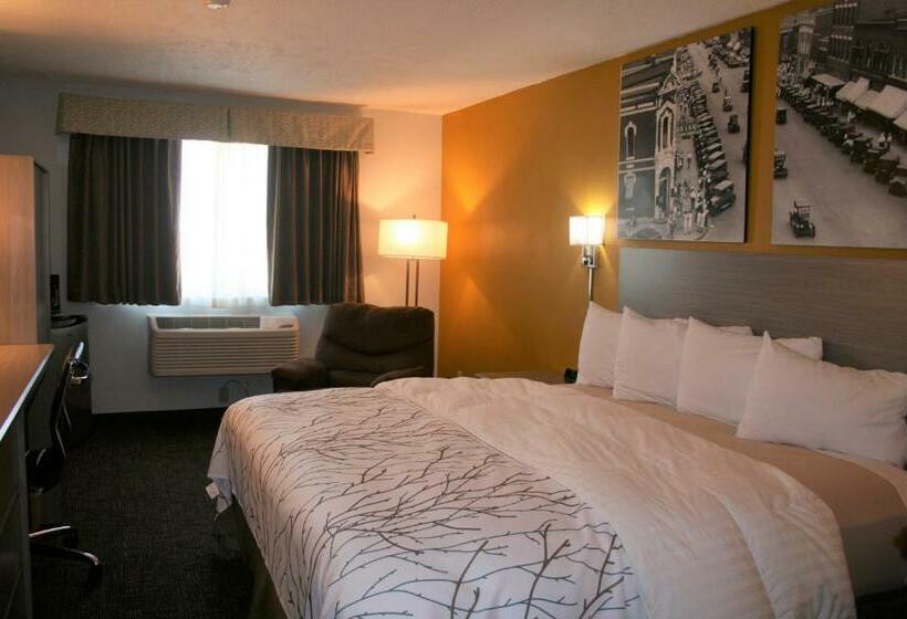 غرفة قياسية, Heritage Inn Express