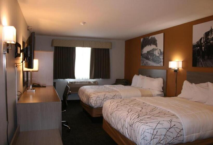 غرفة قياسية, Heritage Inn Express