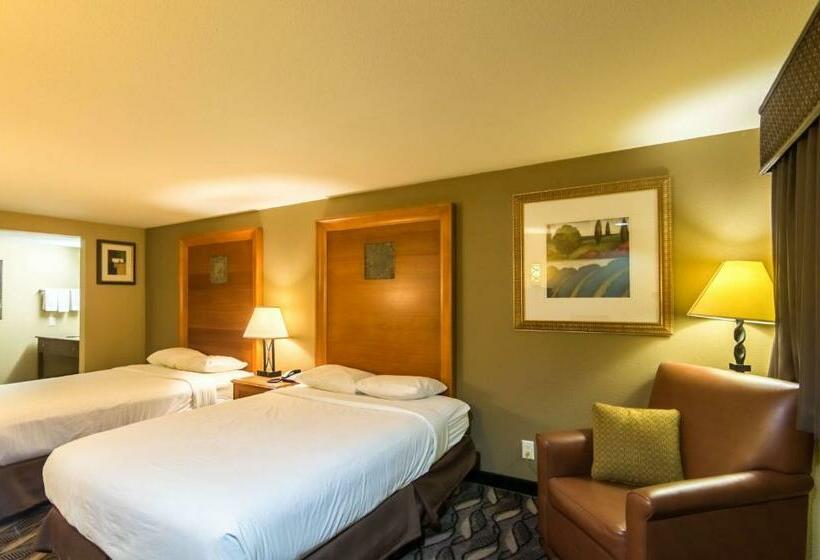 豪华房间, Motel 6 snyder, Tx