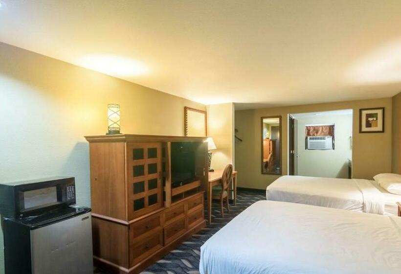 豪华房间, Motel 6 snyder, Tx