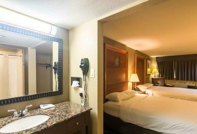 豪华房间, Motel 6 snyder, Tx