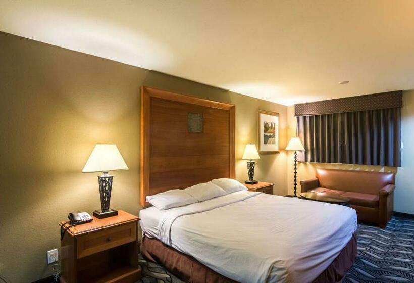 带大床的豪华间, Motel 6 snyder, Tx