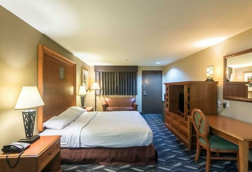 带大床的豪华间, Motel 6 snyder, Tx