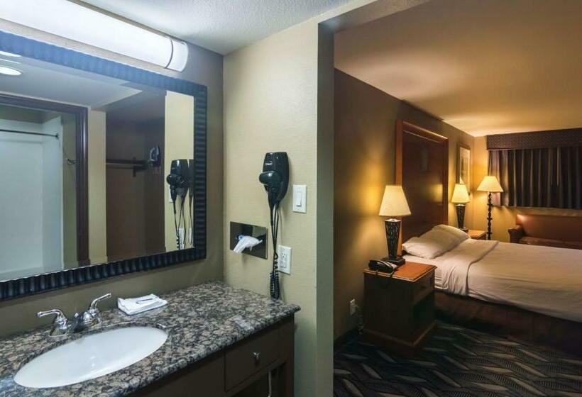 带大床的豪华间, Motel 6 snyder, Tx