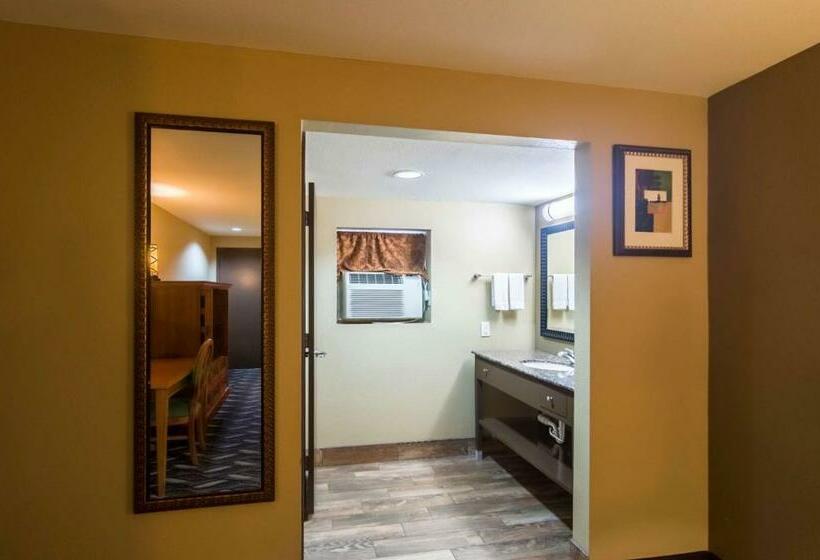 带大床的豪华间, Motel 6 snyder, Tx