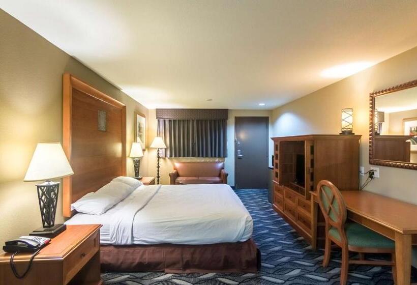 带大床的标准间, Motel 6 snyder, Tx