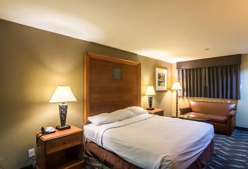 Стандартный Номер Кровать Кинг, Motel 6 snyder, Tx