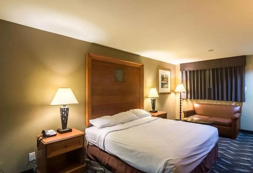 Standard-huone King-vuode, Motel 6 snyder, Tx