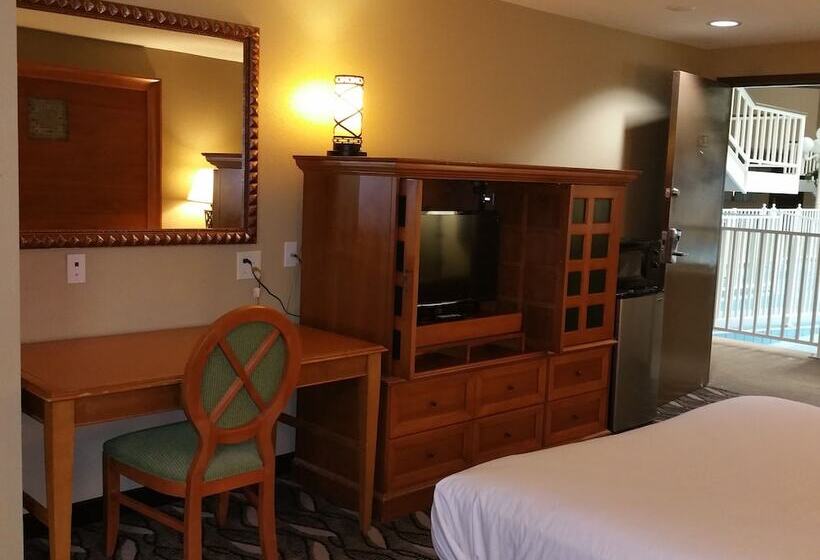 豪华房间, Motel 6 snyder, Tx