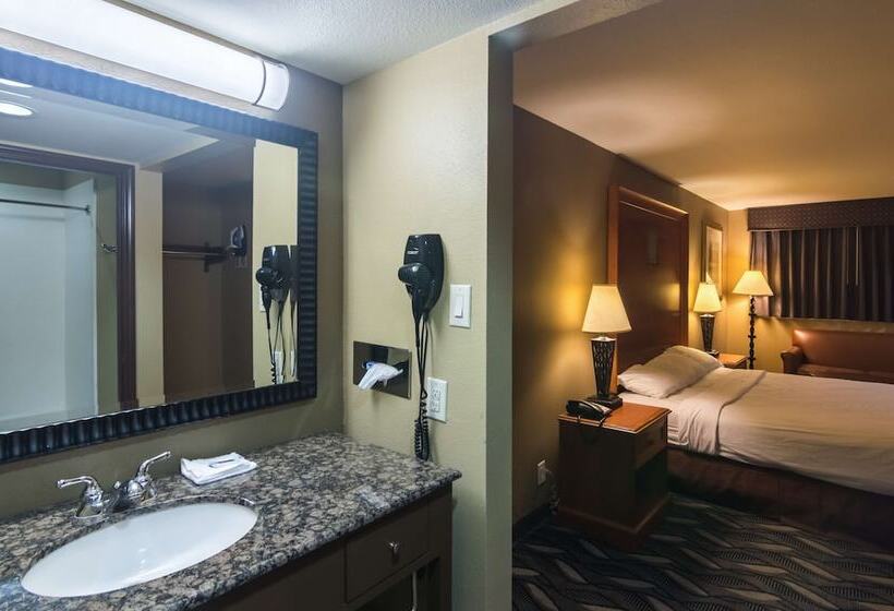 豪华房间, Motel 6 snyder, Tx