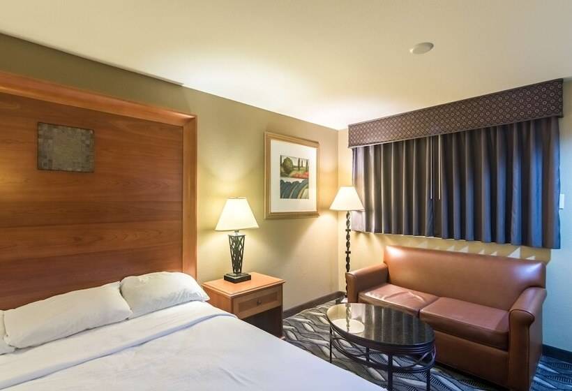 豪华房间, Motel 6 snyder, Tx