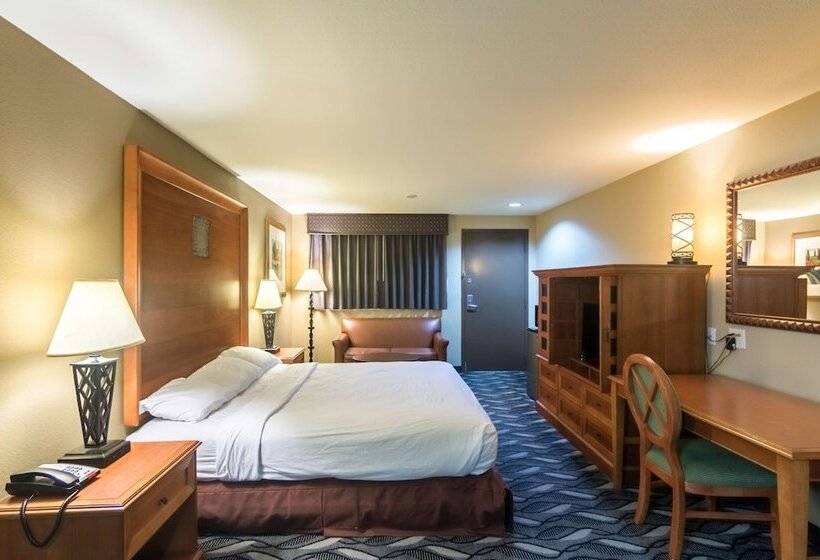 豪华房间, Motel 6 snyder, Tx