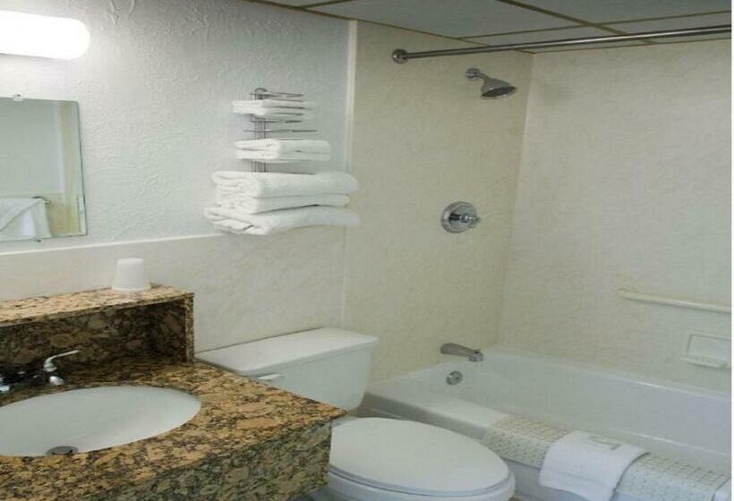 带大床的标准间, Aa Heart Of Wildwood Motels