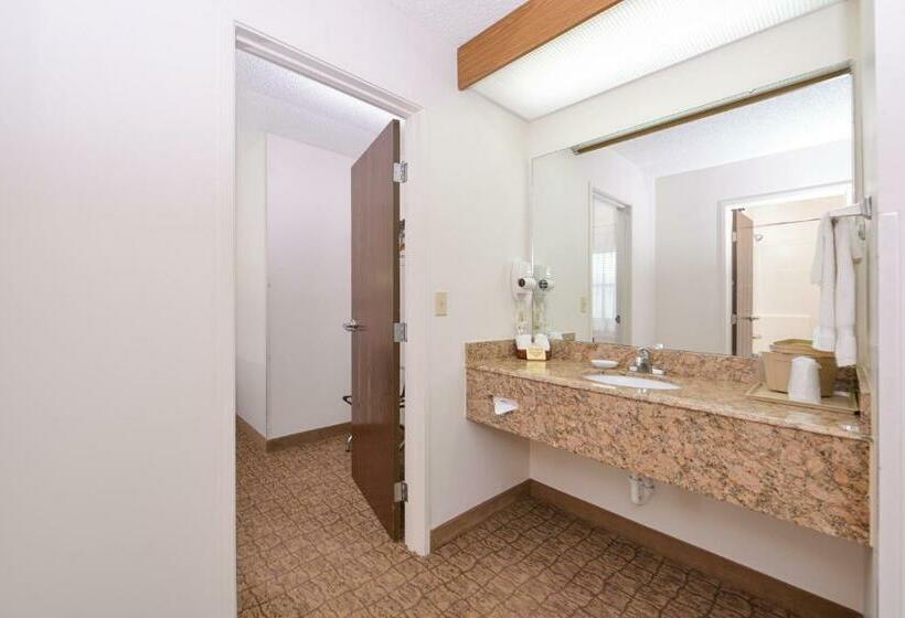 جناح سرير كينج, Briarwood Inn Of Geneva