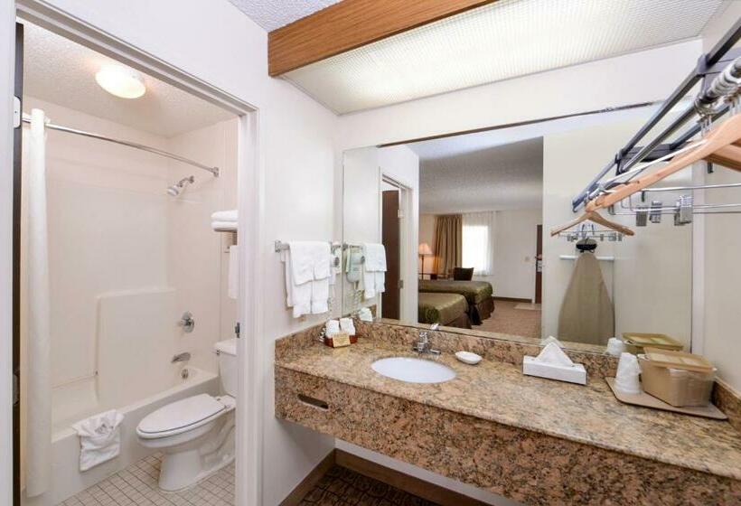 غرفه قياسيه سريرين مزدوجين, Briarwood Inn Of Geneva