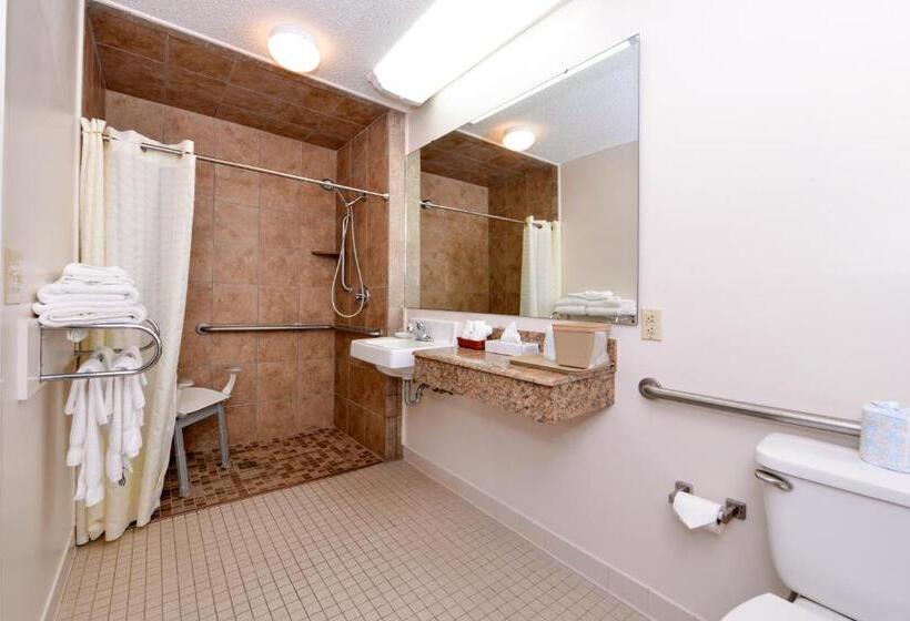 غرفة قياسية سرير كينج لذوى الإحتياجات الخاصة, Briarwood Inn Of Geneva