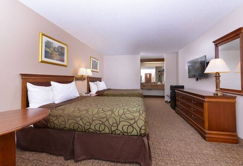 غرفه قياسيه سريرين مزدوجين, Briarwood Inn Of Geneva