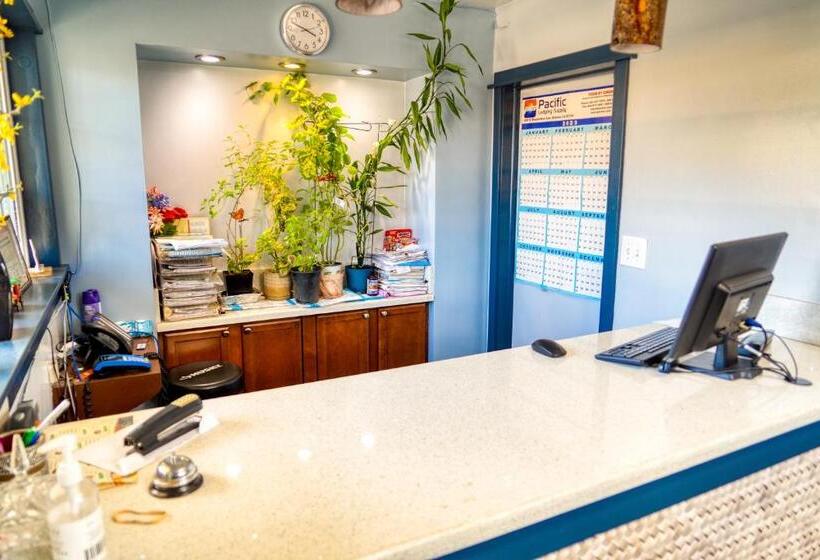 غرفة قياسية سرير كينج, Budget Inn