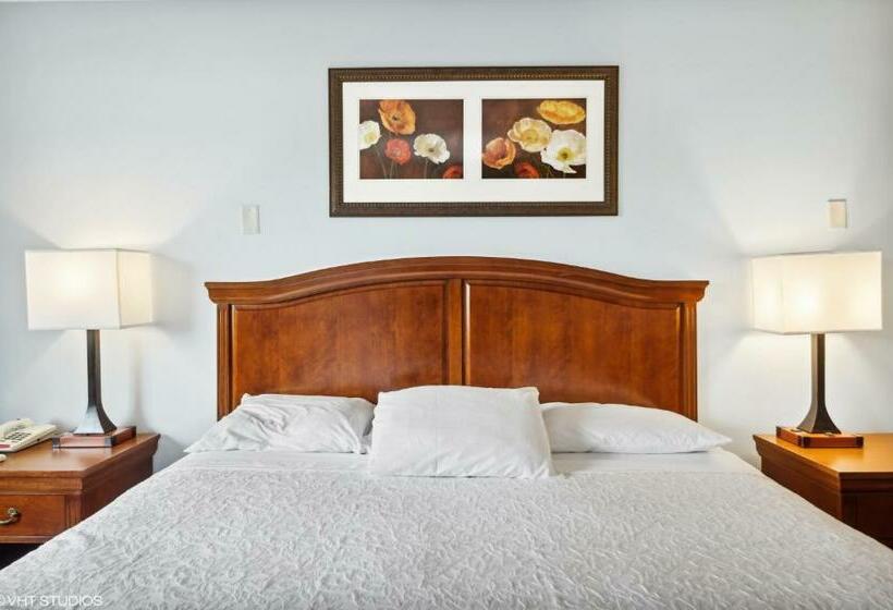 غرفة قياسية سرير كينج, My Hometown Inn