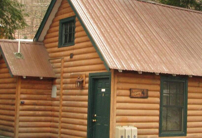 Четырехместный Номер Deluxe, Pine Knoll Hotel Lakeside Lodge & Cabin