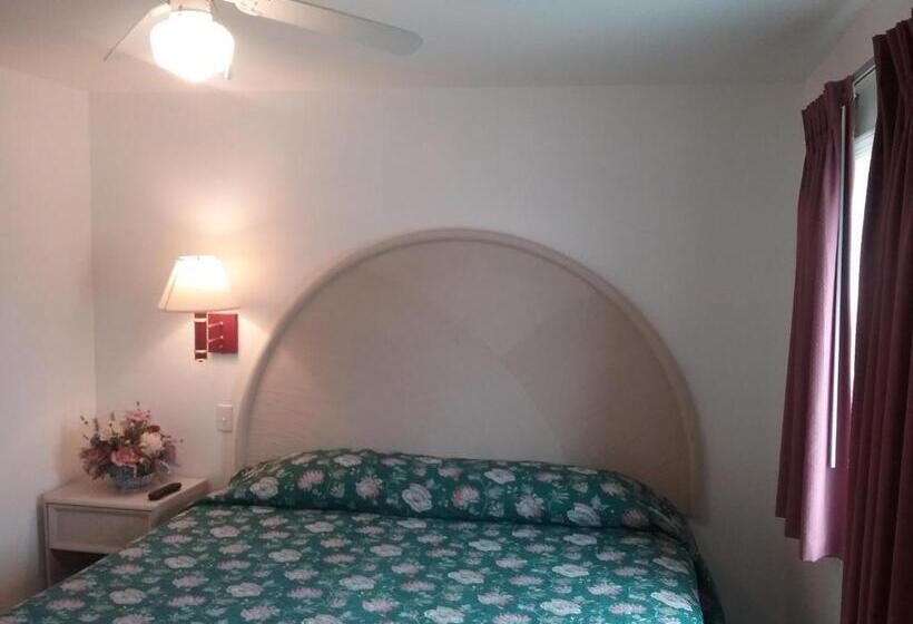 Люкс Кровать Кинг, Apollo Motel