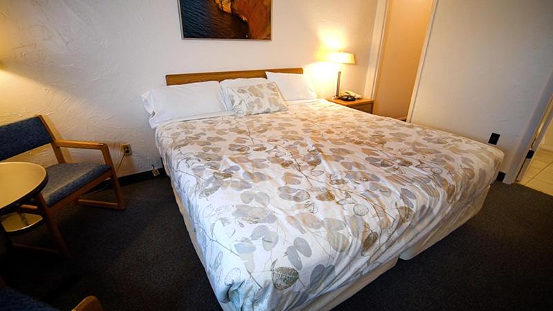 标准间, Alger Falls Motel