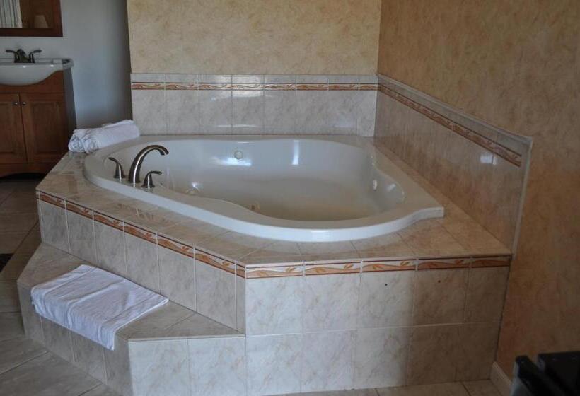 标准间带漩涡浴缸, At 9 Motel